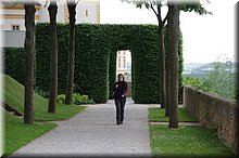 IMGP6182.JPG