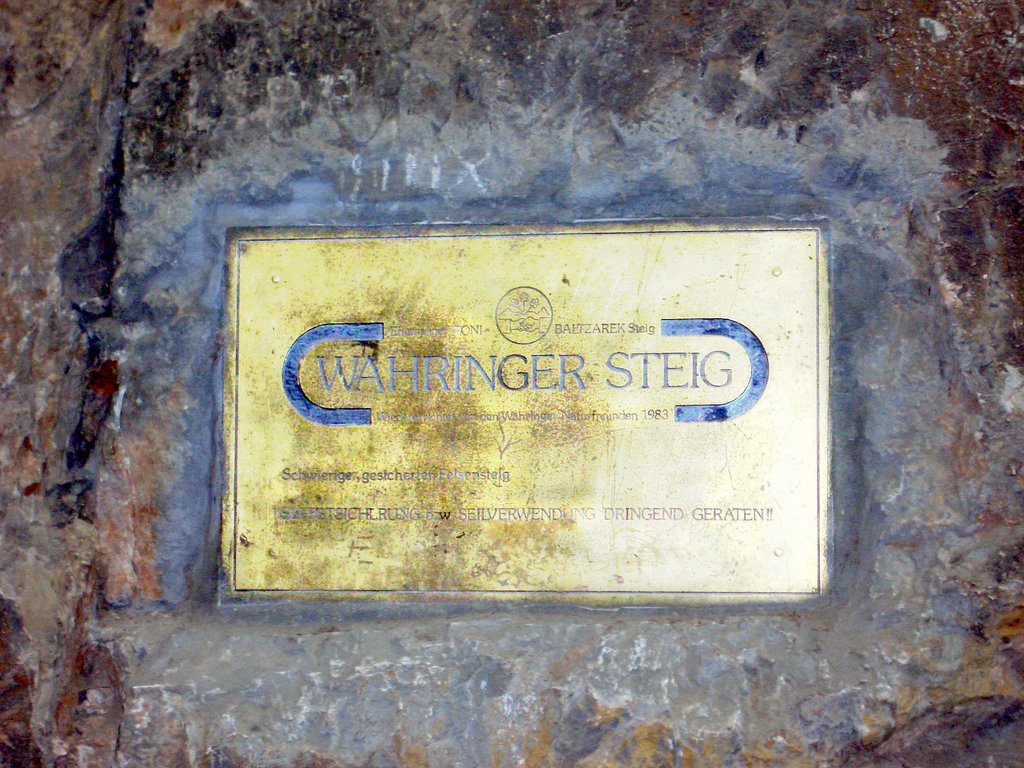CIMG2403.JPG