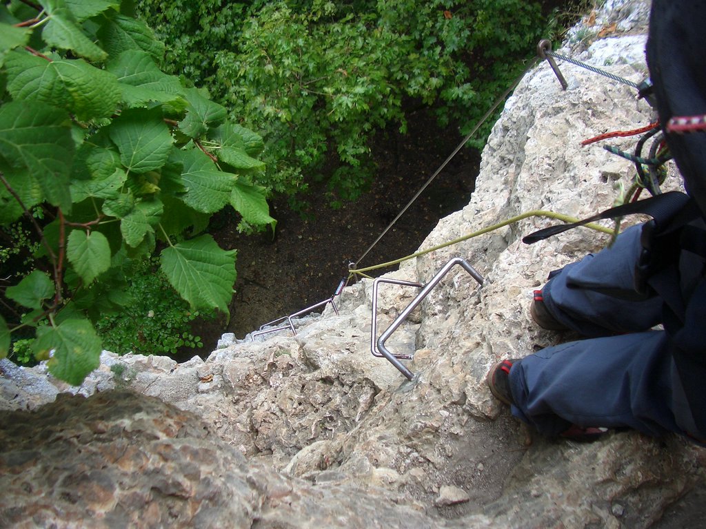 CIMG2406.JPG
