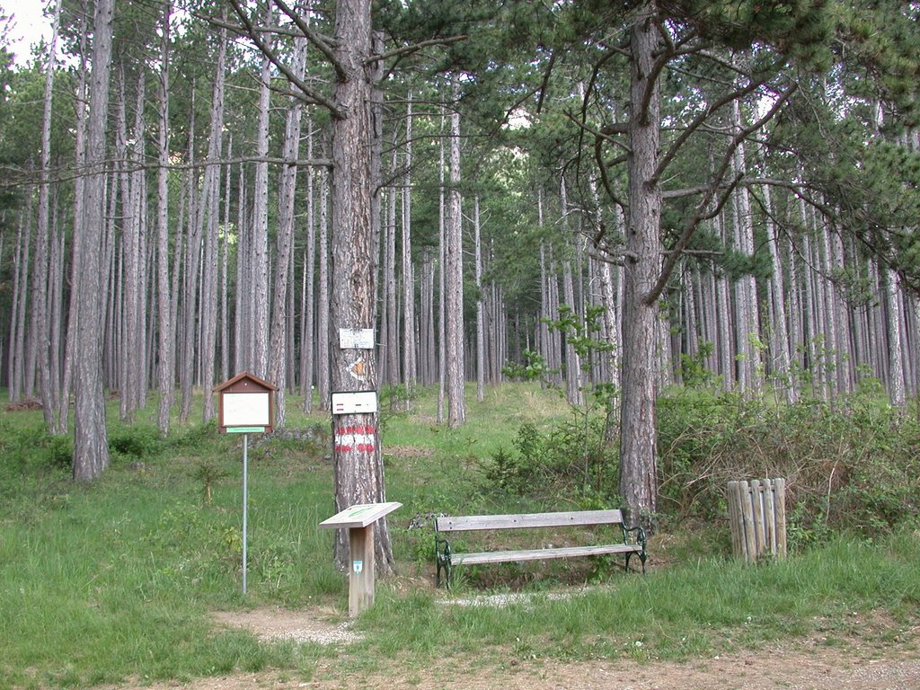 DSCN5315.JPG