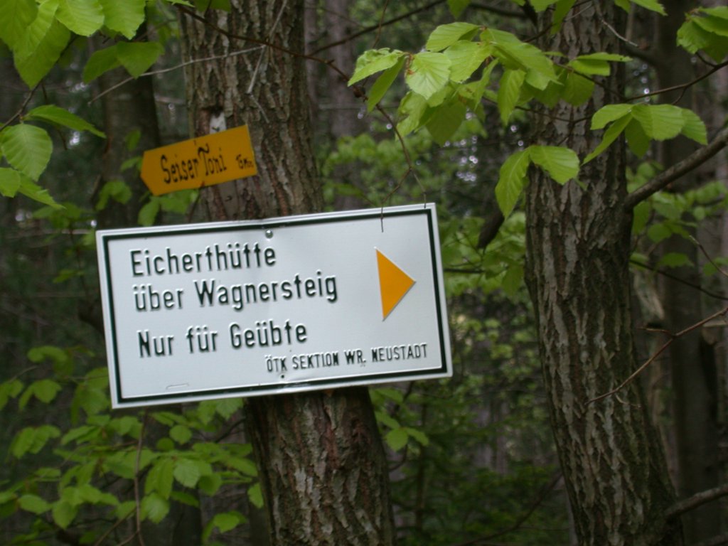 DSCN5319.JPG