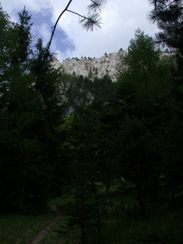 DSCN5320.JPG