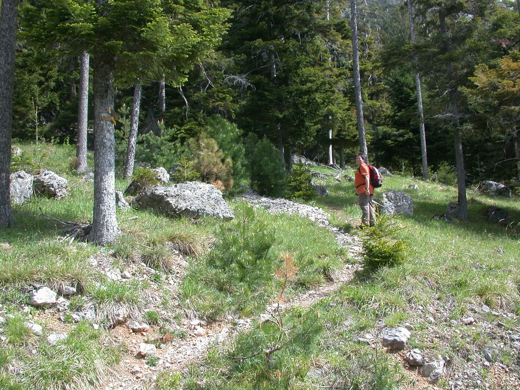 DSCN5321.JPG