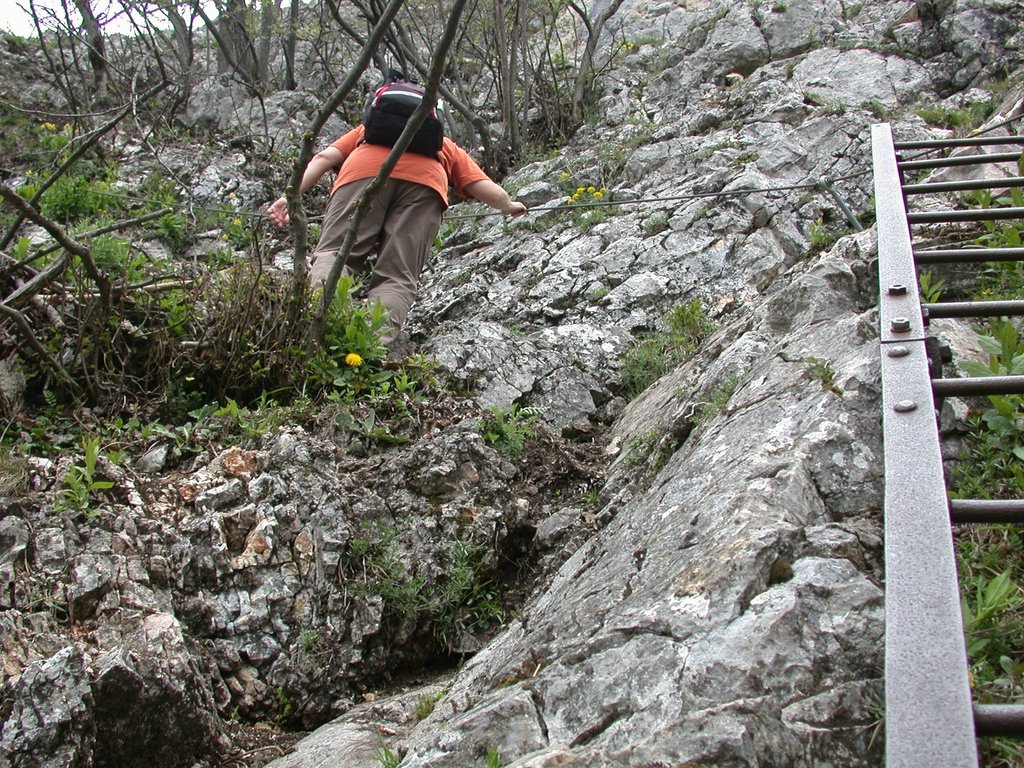 DSCN5339.JPG