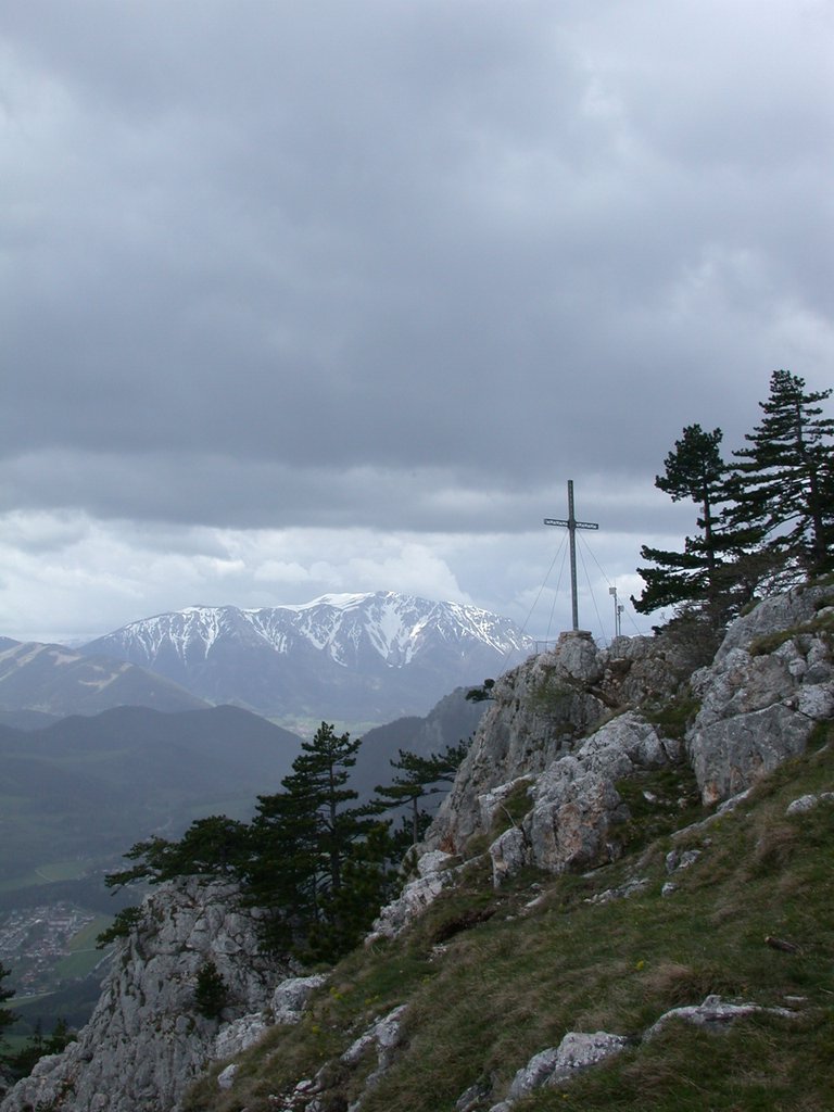 DSCN5342.JPG