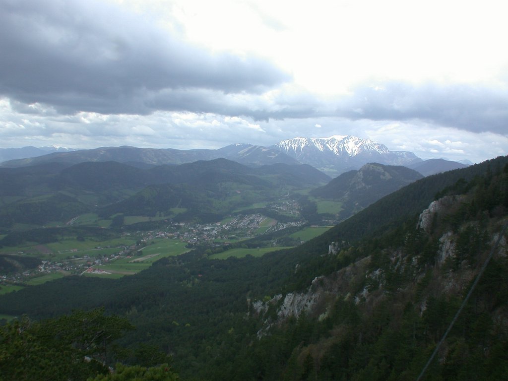 DSCN5346.JPG