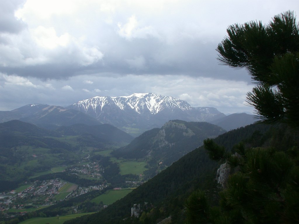 DSCN5352.JPG