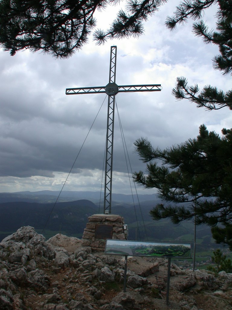 DSCN5356.JPG