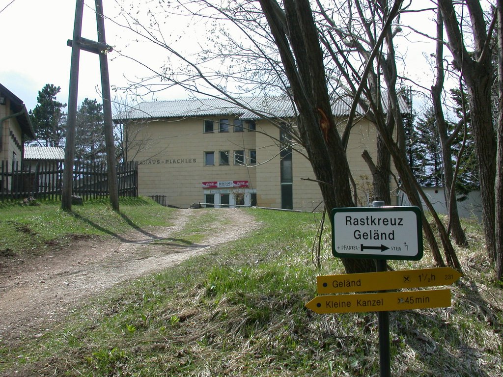 DSCN5364.JPG