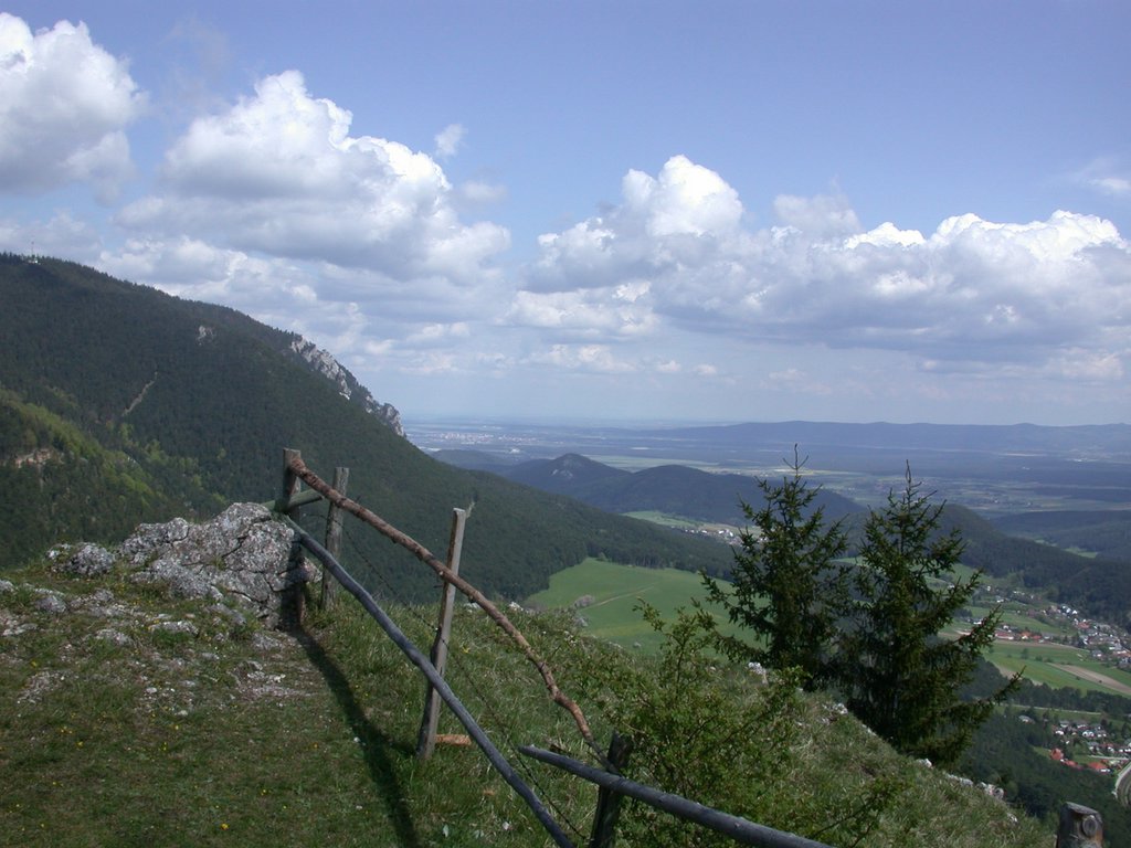 DSCN5369.JPG
