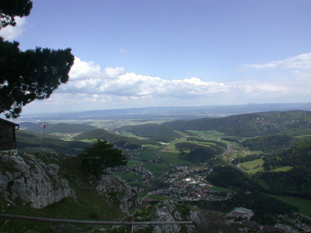 DSCN5379.JPG