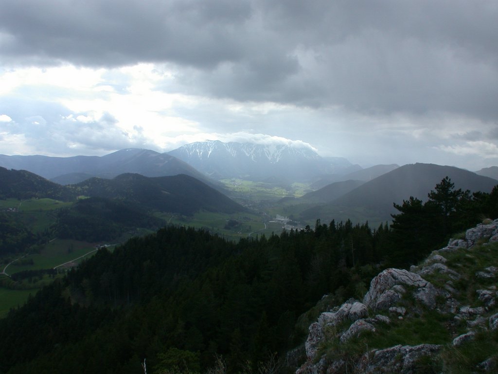 DSCN5382.JPG