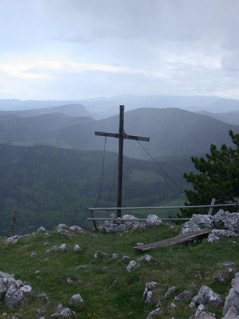 DSCN5384.JPG