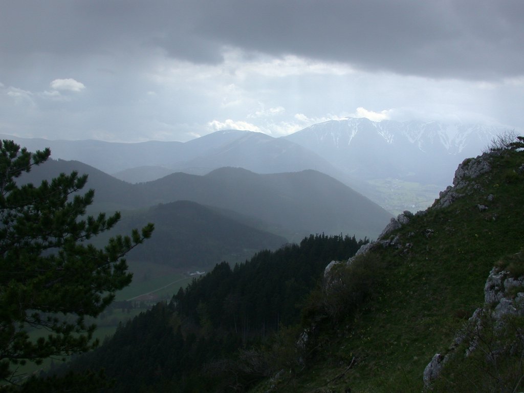 DSCN5385.JPG