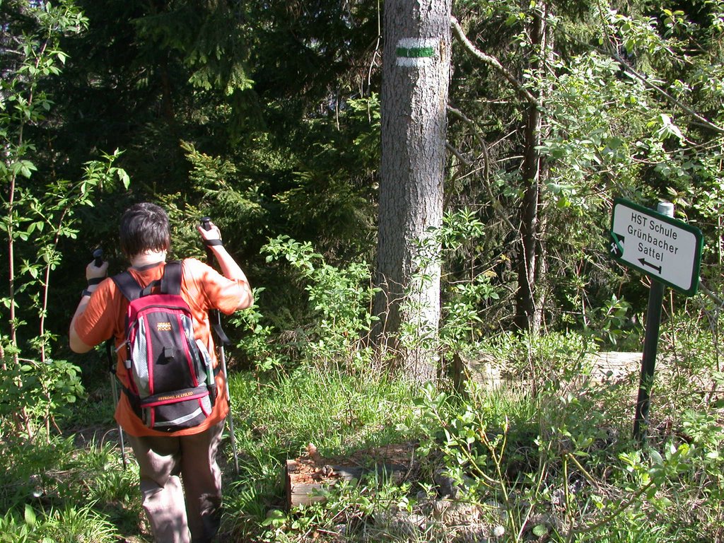 DSCN5387.JPG