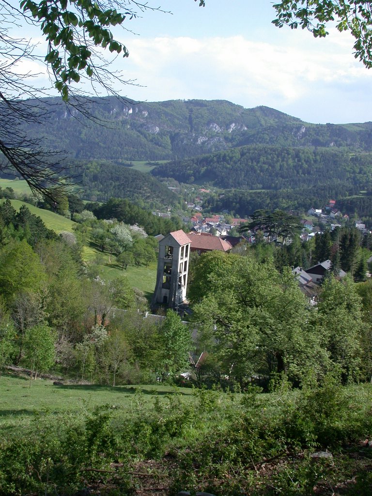 DSCN5390.JPG
