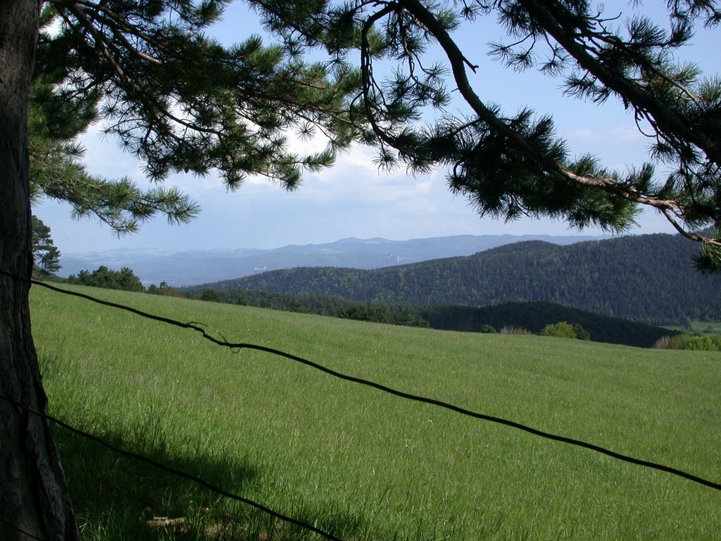 DSCN5394.JPG