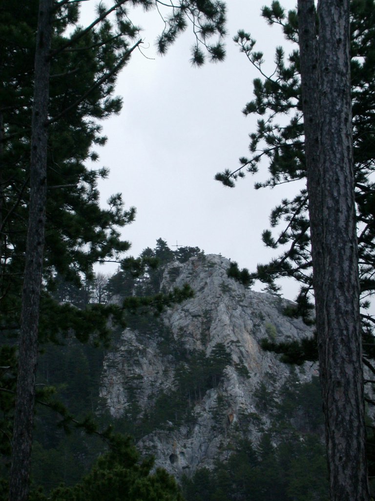 DSCN5395.JPG