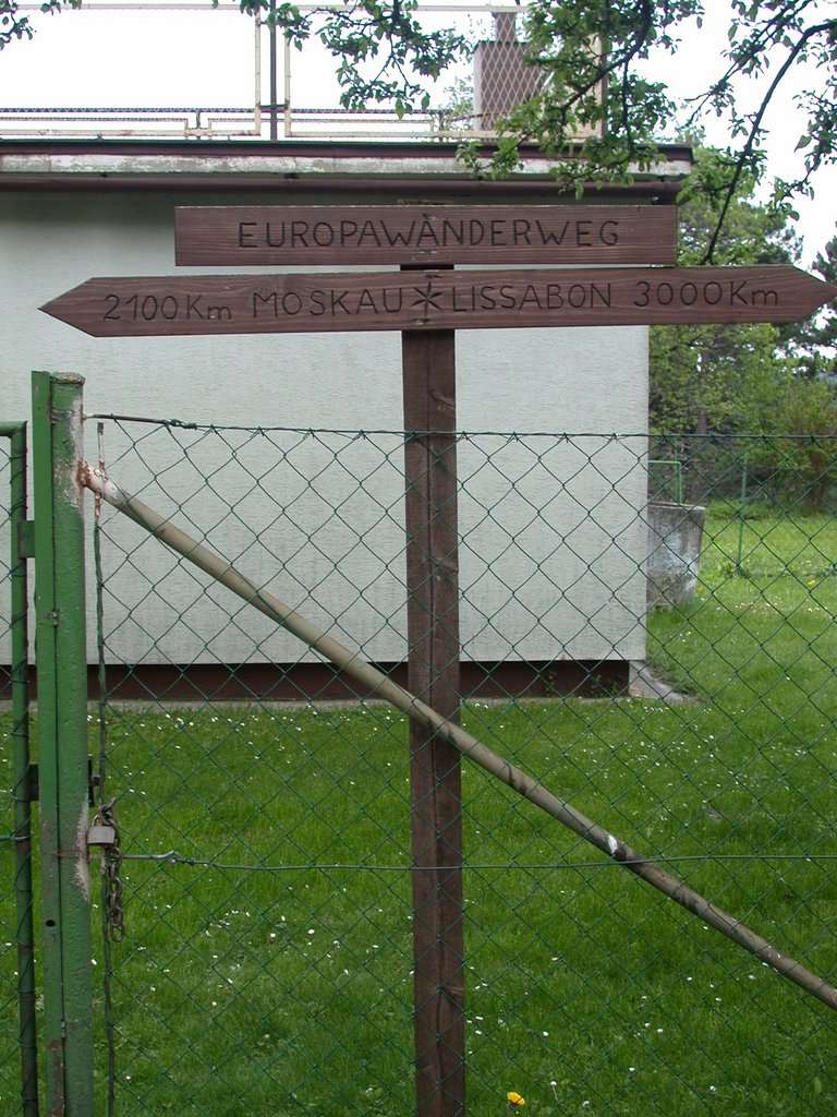 DSCN5397.JPG