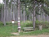DSCN5315.JPG