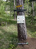 DSCN5318.JPG