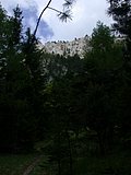 DSCN5320.JPG