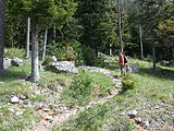 DSCN5321.JPG