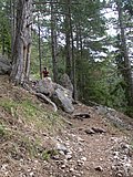 DSCN5323.JPG