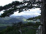 DSCN5329.JPG