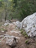DSCN5334.JPG