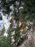 DSCN5336.JPG