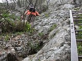 DSCN5339.JPG