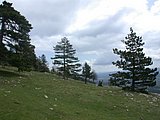 DSCN5358.JPG