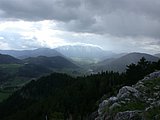 DSCN5382.JPG