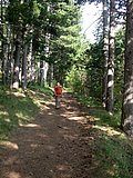 DSCN5393.JPG