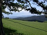 DSCN5394.JPG