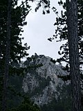 DSCN5395.JPG