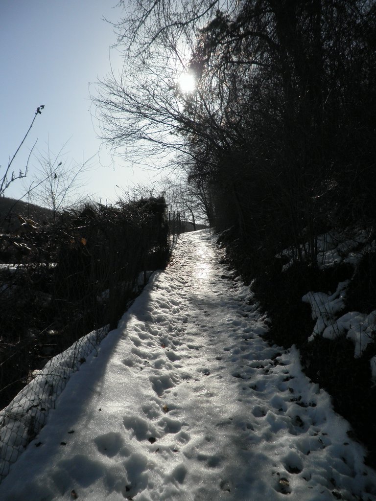 P2270002.JPG