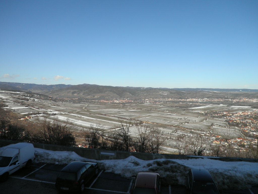 P2270010.JPG