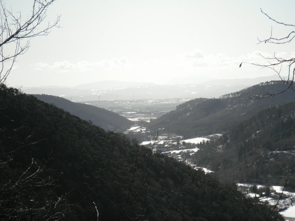 P2270016.JPG
