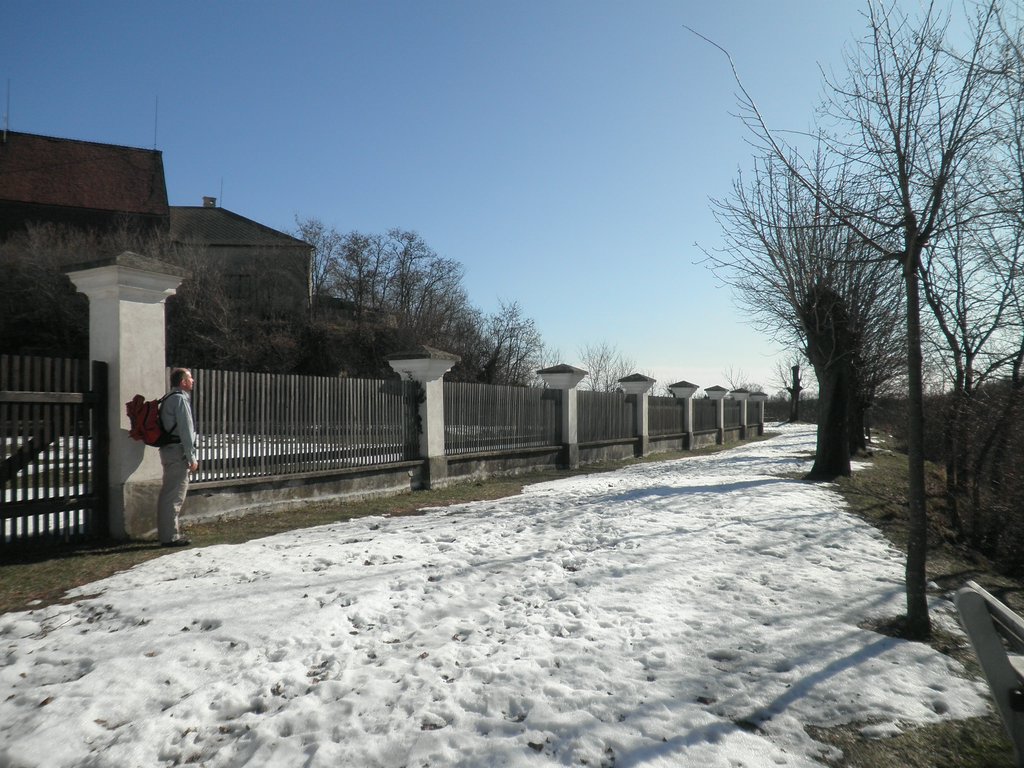 P2270017.JPG