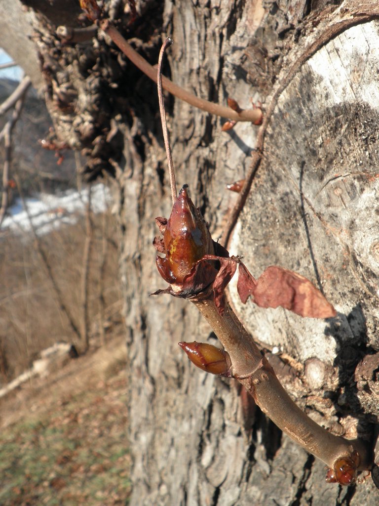 P2270020.JPG