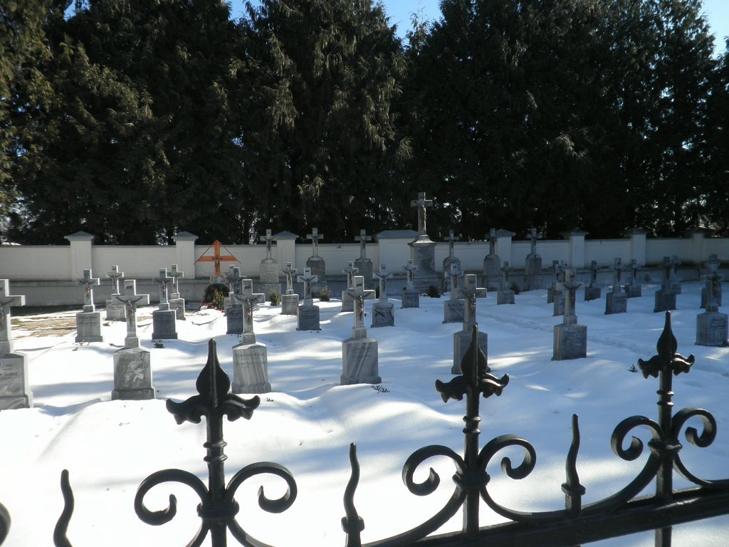 P2270026.JPG