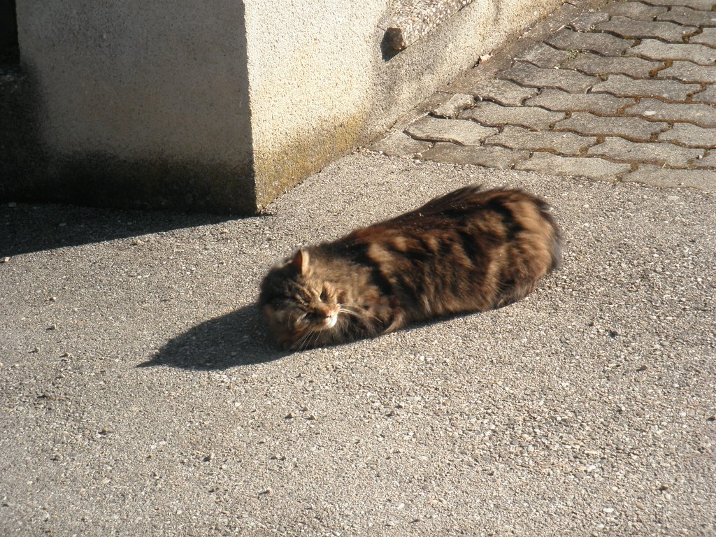 P2270042.JPG