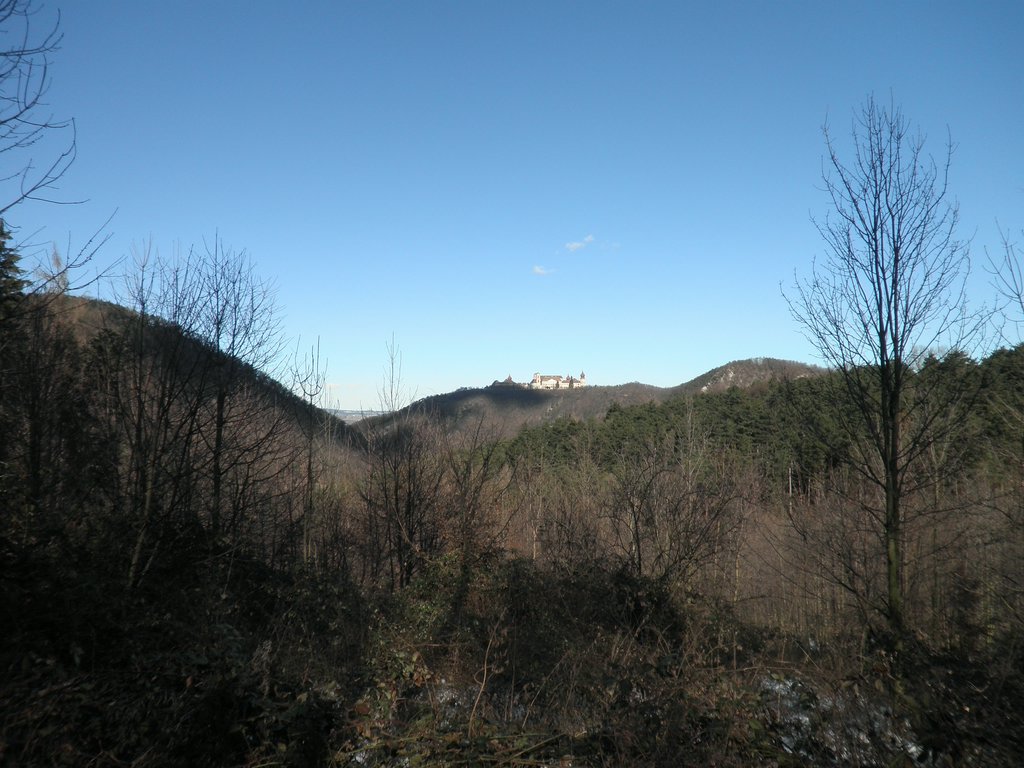 P2270048.JPG