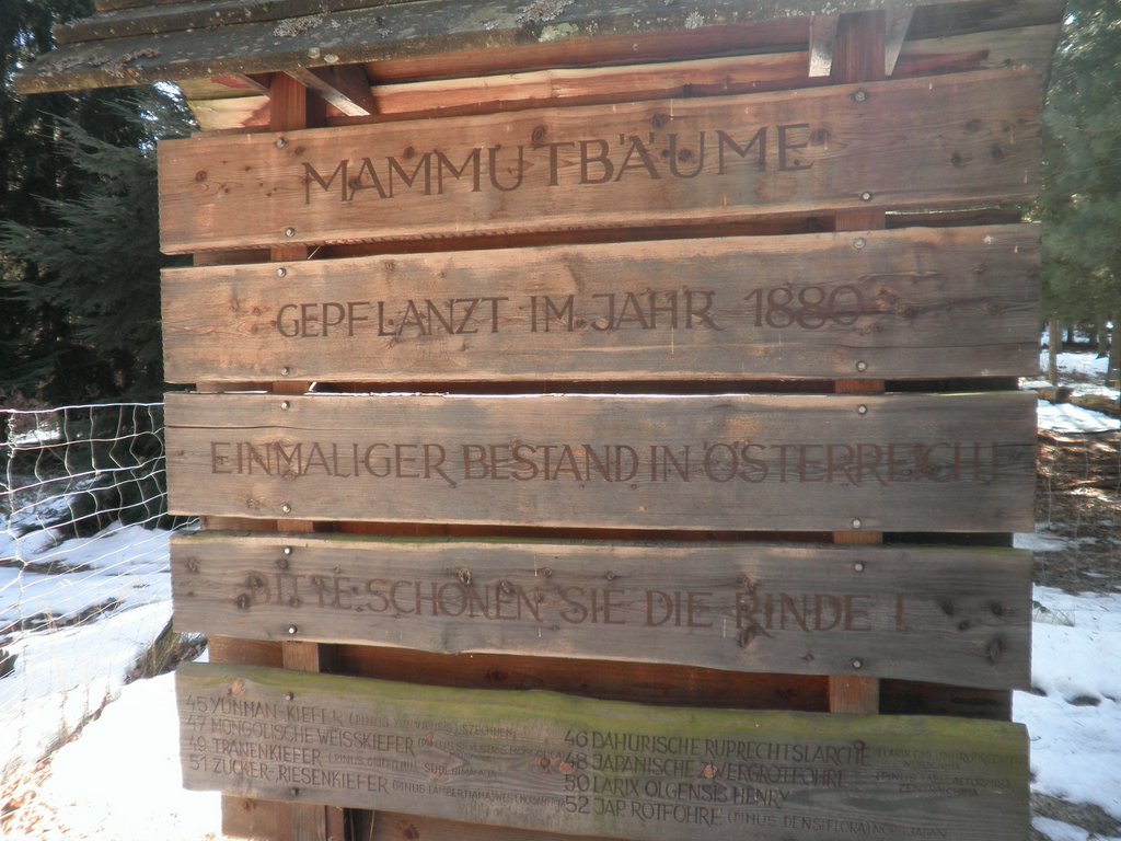 P2270053.JPG
