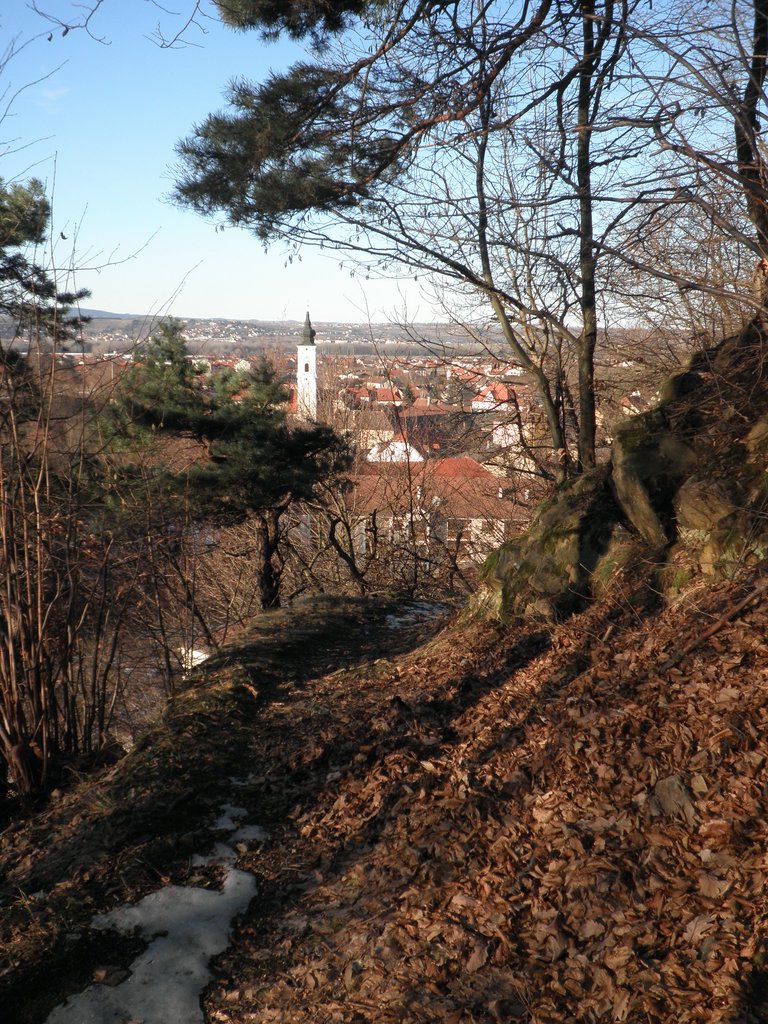 P2270104.JPG