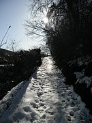 P2270002.JPG