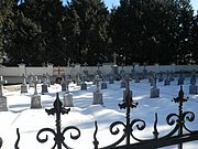 P2270026.JPG