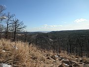 P2270068.JPG